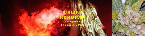 спайс Гусев