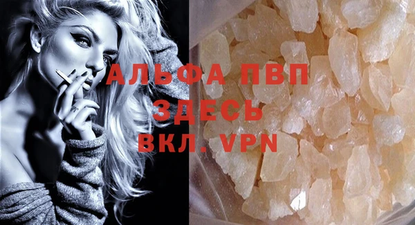 спайс Гусев