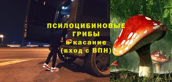 дживик Гусиноозёрск