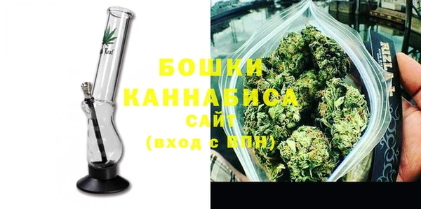 дживик Гусиноозёрск