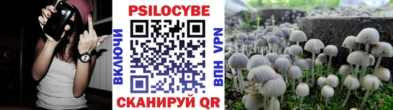 Псилоцибиновые грибы Magic Shrooms  блэк спрут   Кущёвская 